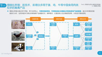 战略新兴产业的核心支柱 互联网数据中心与199it数据服务