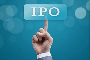 What is an IPO? - 金融英语口译翻译服务