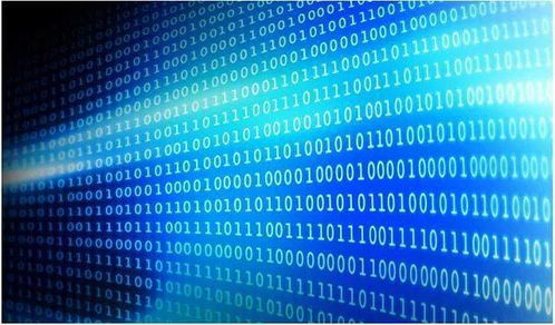 人民时评 充分激发数据要素价值 筑牢互联网数据服务发展根基